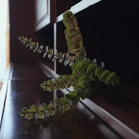 Appartamento Back In Time Varna