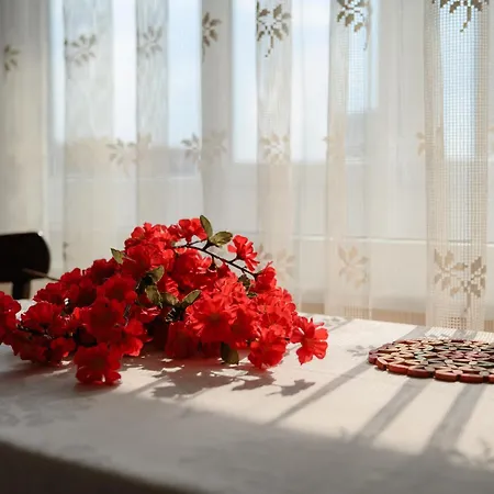 Back In Time Lägenhet Varna